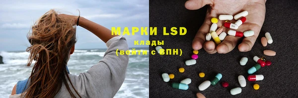 ПСИЛОЦИБИНОВЫЕ ГРИБЫ Баксан