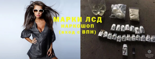 ПСИЛОЦИБИНОВЫЕ ГРИБЫ Баксан