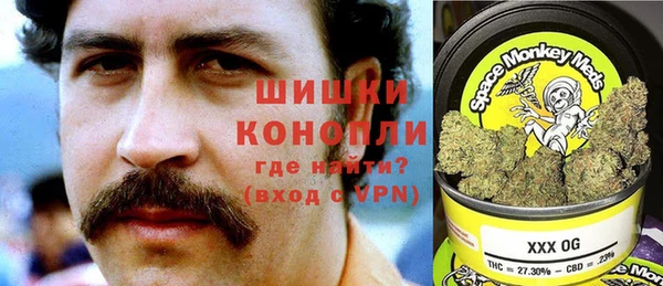 ПСИЛОЦИБИНОВЫЕ ГРИБЫ Баксан