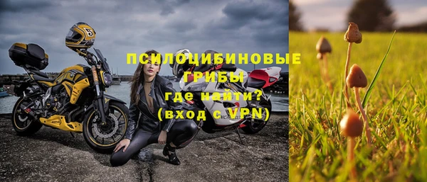 ПСИЛОЦИБИНОВЫЕ ГРИБЫ Баксан