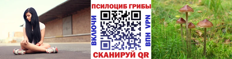 Псилоцибиновые грибы Psilocybe  мориарти телеграм  Ленинск 